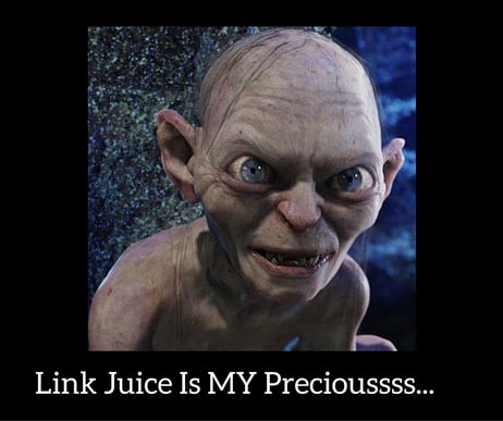 Link_Juice_is_my_precioussss....jpg